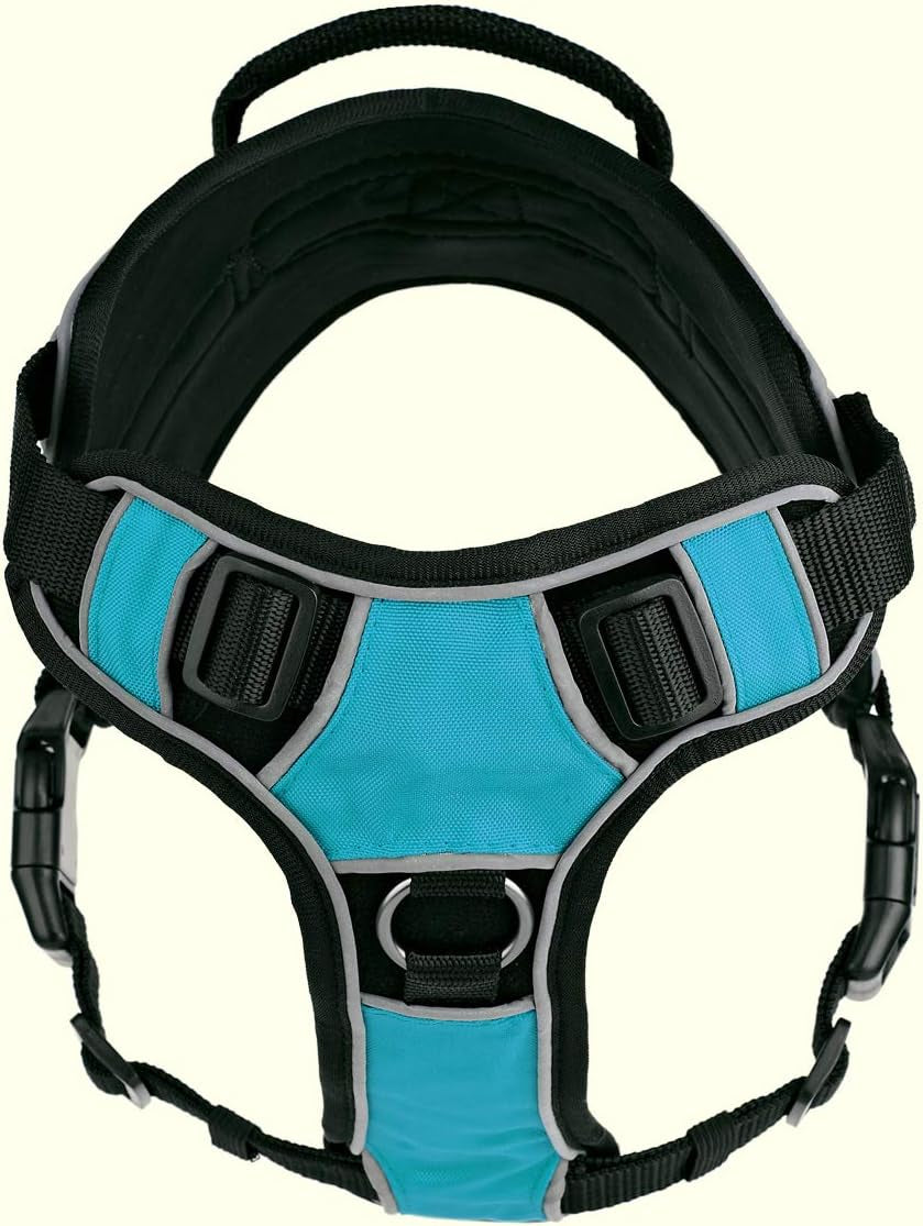 "Ultimate Comfort and Control: Quest No-Pull Dog Harness with Reflective Patches, Quick Release Buckles, and Handle - Perfect for Deaf Dogs! (Teal, 25-31 Inches)"