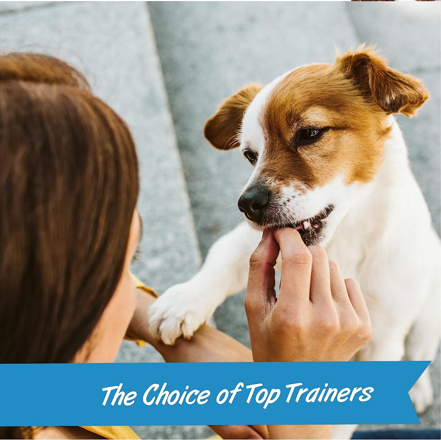 10 Oz. Pouch Training Reward Mini Soft & Chewy, Chicken Flavor, with 500 Treats per Bag, the Choice of Top Trainers