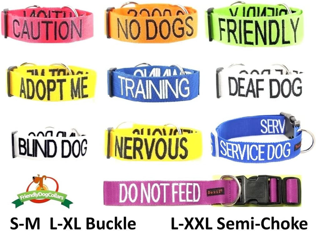 "Stay Safe with Friendly: Green Color Coded Dog Collar - Alert Others to Your Dog's Presence!"