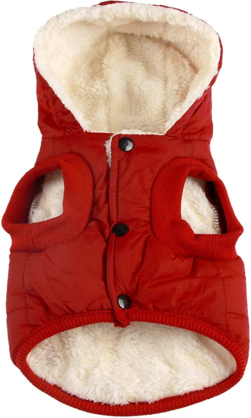 Fleece Lining Extra Warm Dog Hoodie Winter Jacket for Small Dogs