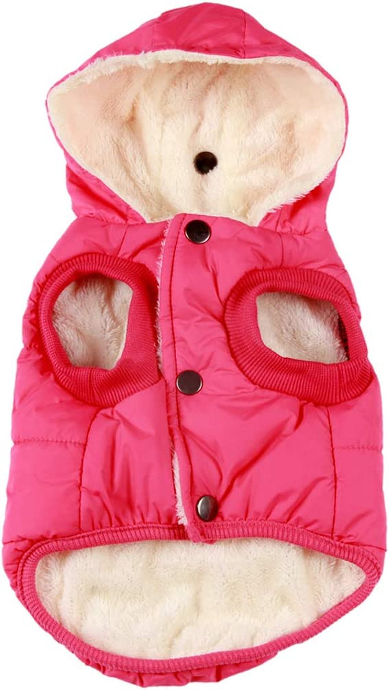 Fleece Lining Extra Warm Dog Hoodie Winter Jacket for Small Dogs