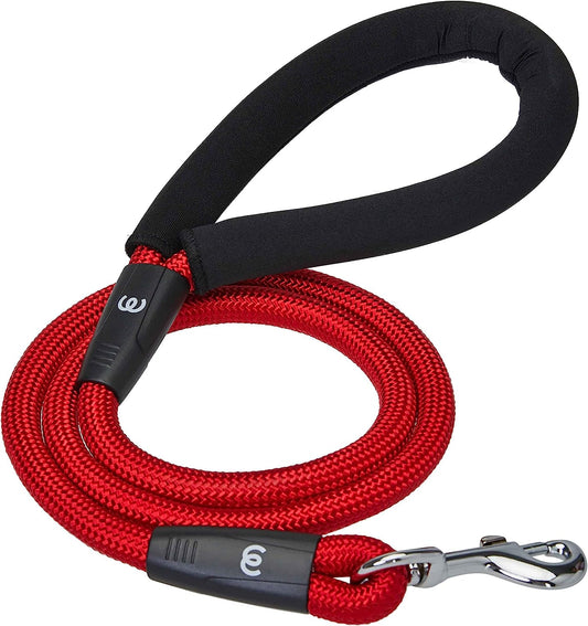 Essentials Better Basics Dog Rope Leash with Comfortable Padded Handle, 4 Ft, Rouge Red, Heavy Duty Strong Training Leashes for Dogs