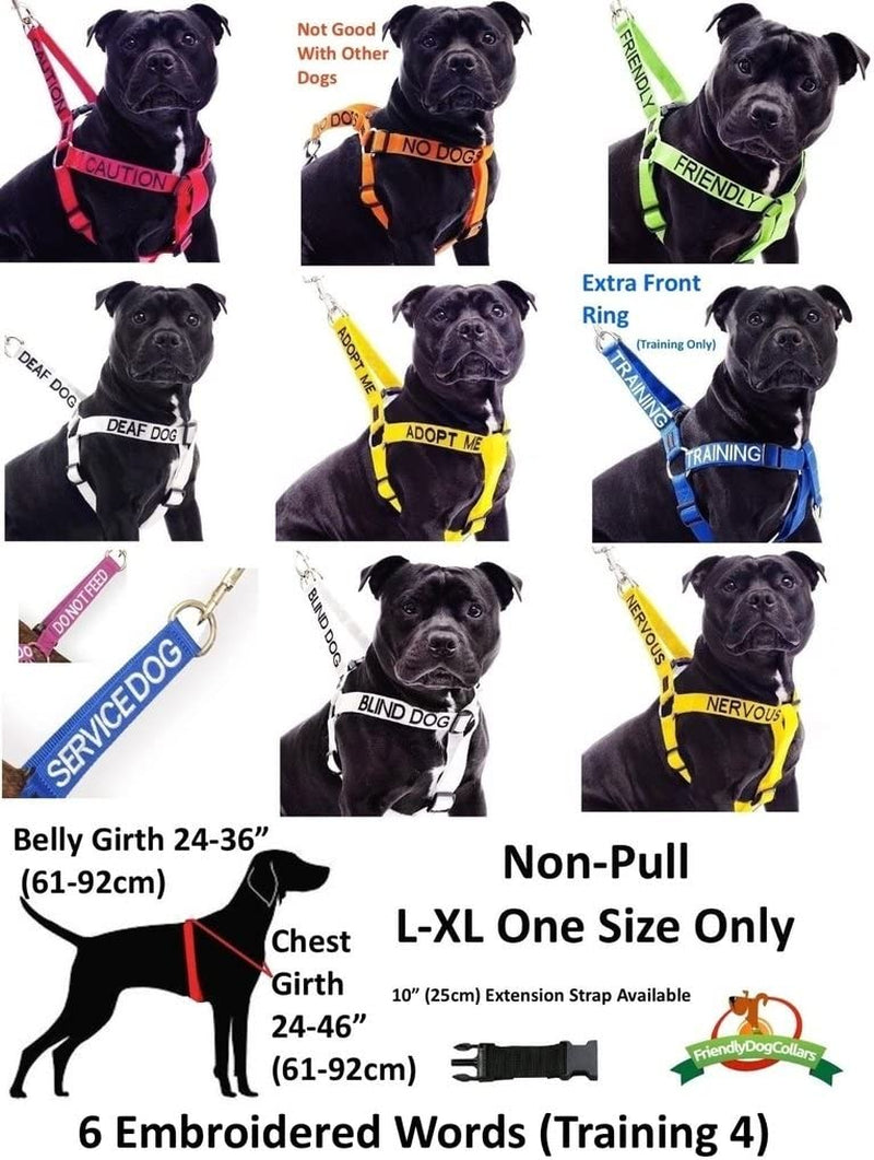 "Stay Safe with Friendly: Green Color Coded Dog Collar - Alert Others to Your Dog's Presence!"