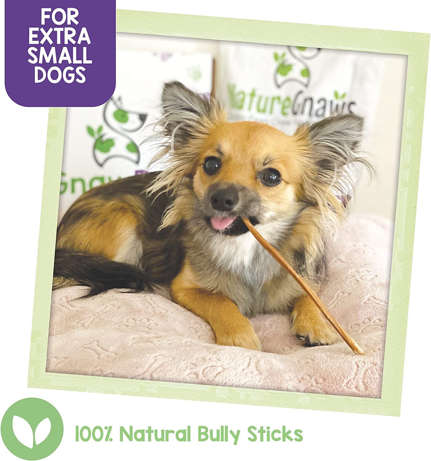 "Irresistible Skinny Bully Sticks for Small Dogs - 40 Premium Natural Beef Dental Bones - Perfect Thin Chew Treats for Toy Breeds & Puppies - Rawhide Free!"