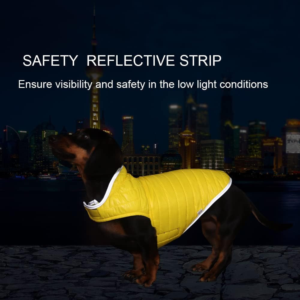 Dog Coat Cold Weather Warm Jacket Waterproof Windproof Puppy