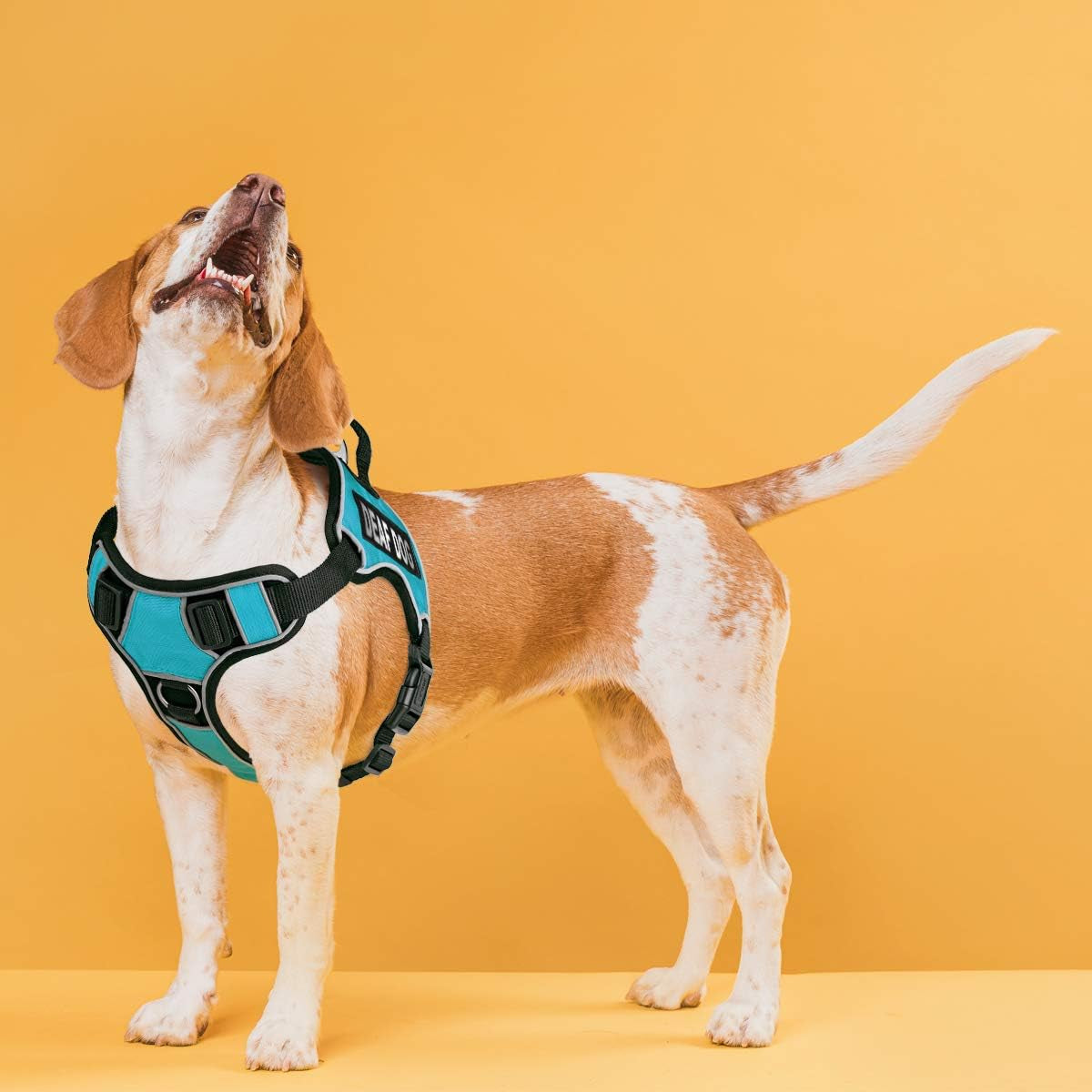 "Ultimate Comfort and Control: Quest No-Pull Dog Harness with Reflective Patches, Quick Release Buckles, and Handle - Perfect for Deaf Dogs! (Teal, 25-31 Inches)"