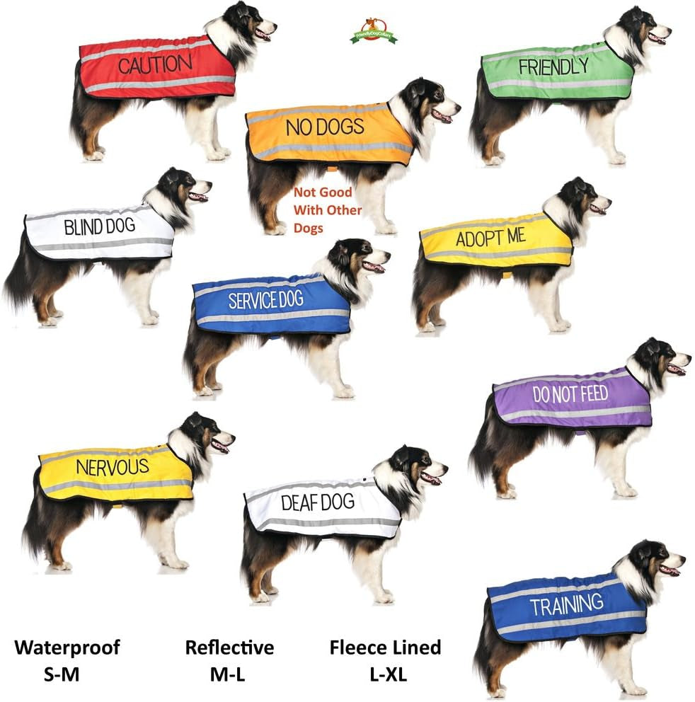 "Stay Safe with Friendly: Green Color Coded Dog Collar - Alert Others to Your Dog's Presence!"