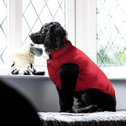 Windproof Dog Winter Jacket Warm Dog Vest 2 Layers Fleece Lined