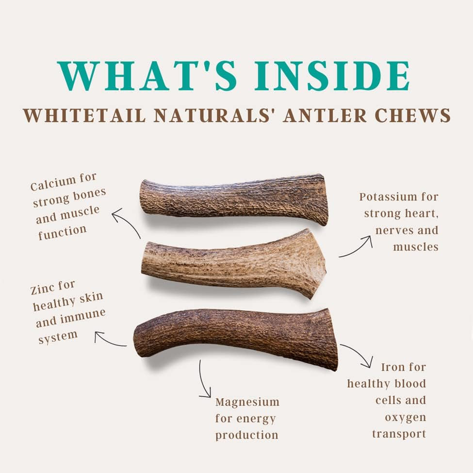 "Premium Elk Antler Dog Chews - All-Natural, Long-Lasting Bones | 1lb Pack | Naturally Shed Antlers | Ideal for Large and Medium Dogs"