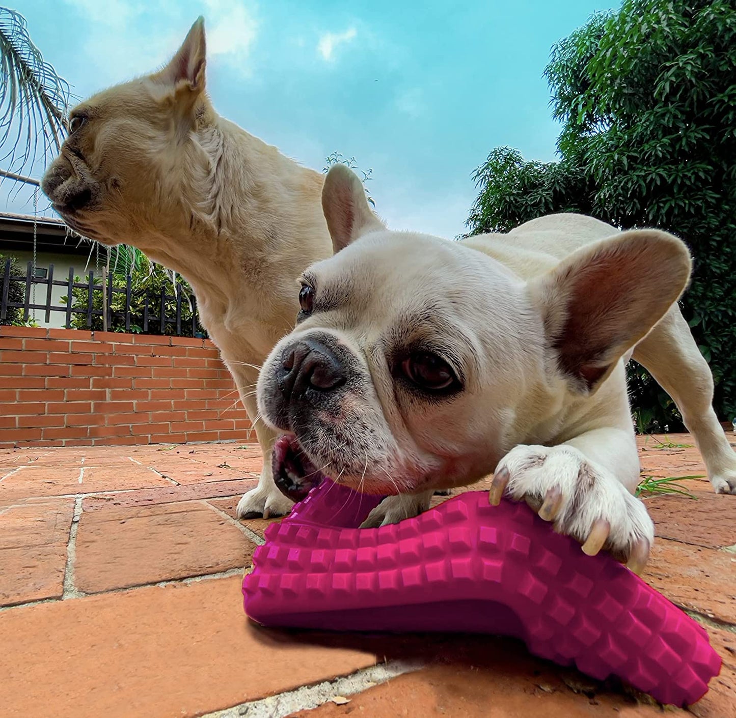 Dog Toy for Aggressive Chewers Dog Shoe Toy Toothbrush Teething Toys