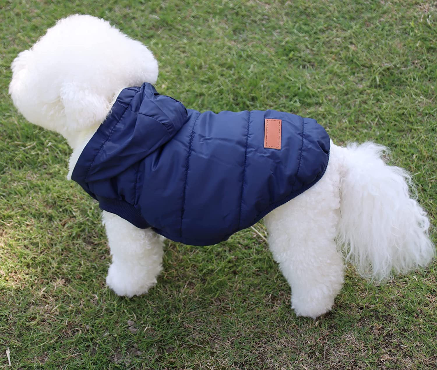 Fleece Lining Extra Warm Dog Hoodie Winter Jacket for Small Dogs