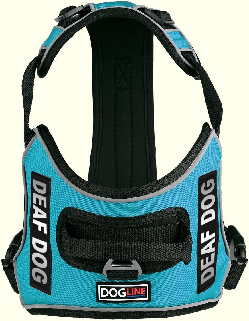 "Ultimate Comfort and Control: Quest No-Pull Dog Harness with Reflective Patches, Quick Release Buckles, and Handle - Perfect for Deaf Dogs! (Teal, 25-31 Inches)"