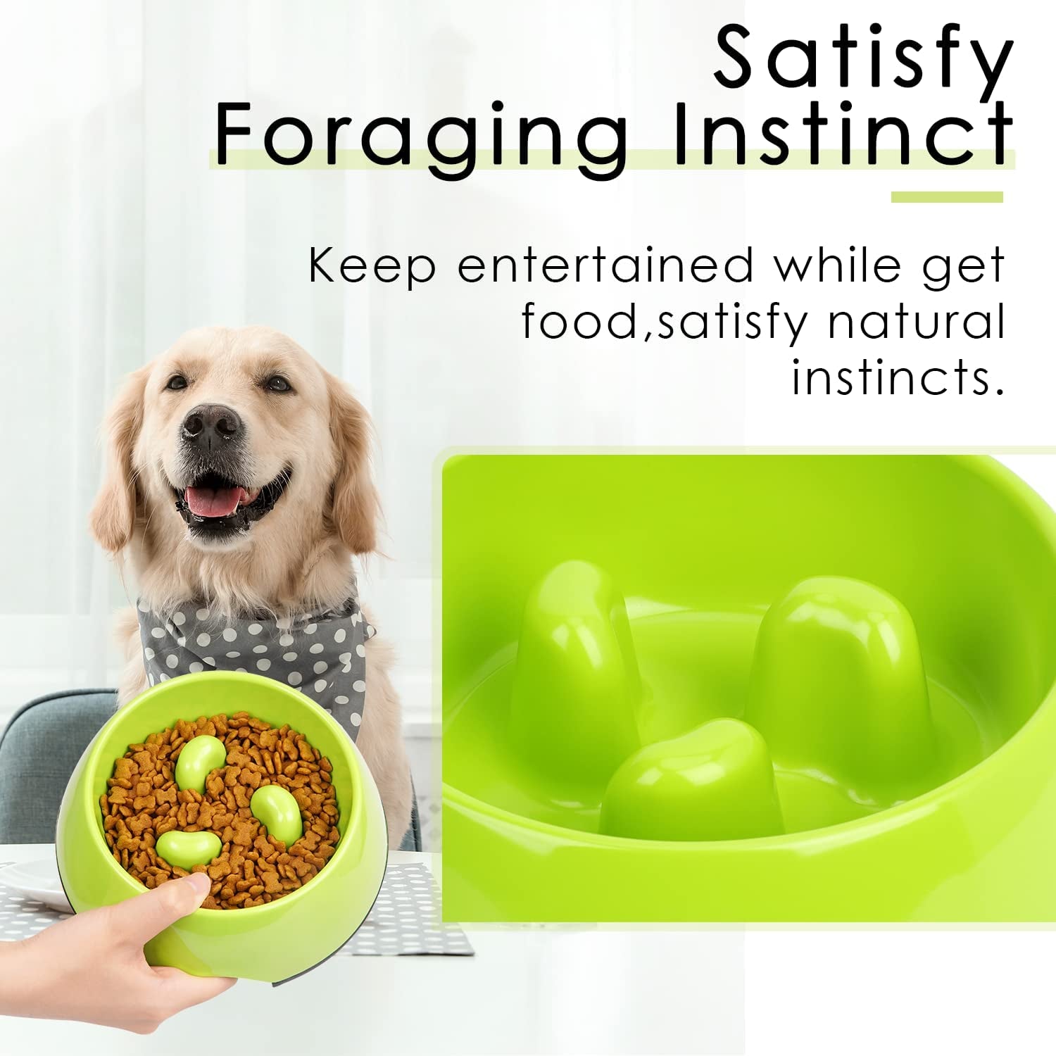 Professional Title: "Premium Slow Feeder Dog Bowl - 1.5 Cup Capacity for Small to Medium Breeds - Promotes Healthy Eating and Prevents Gulping - Interactive Bloat Prevention - Non-Slip Design - Green"