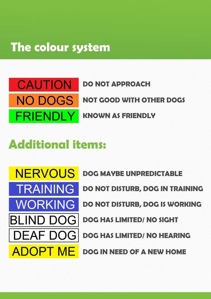 "Stay Safe with Friendly: Green Color Coded Dog Collar - Alert Others to Your Dog's Presence!"